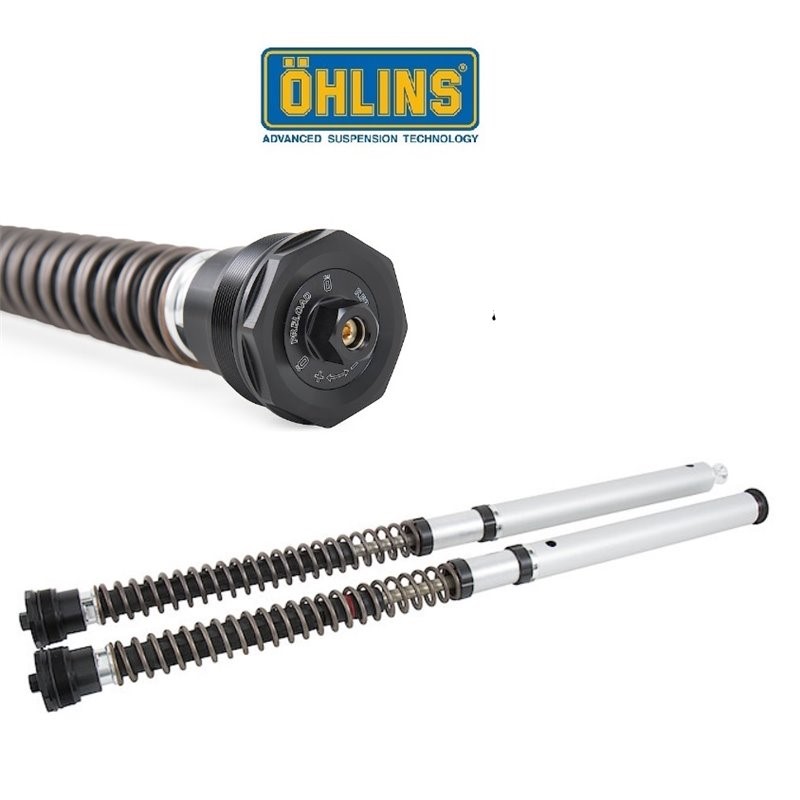 Immagine di Cartuccia OHLINS HONDA CB 650R  2019-20